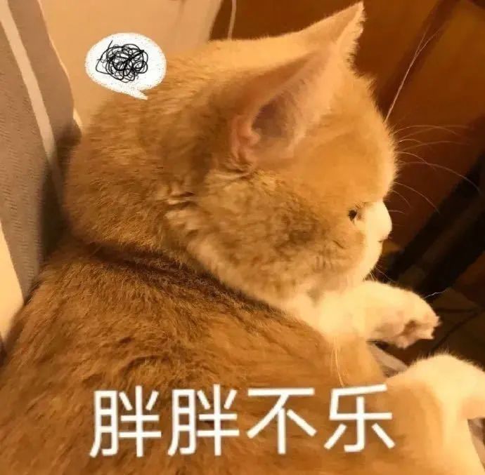 那是有氧运动_运动氧气_运动含氧量