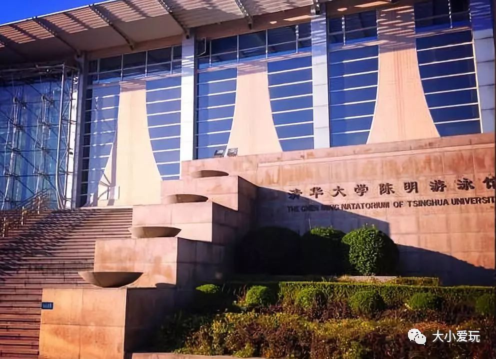 游泳冠军的游泳包有哪些_游泳冠军海报_冠军游泳视频