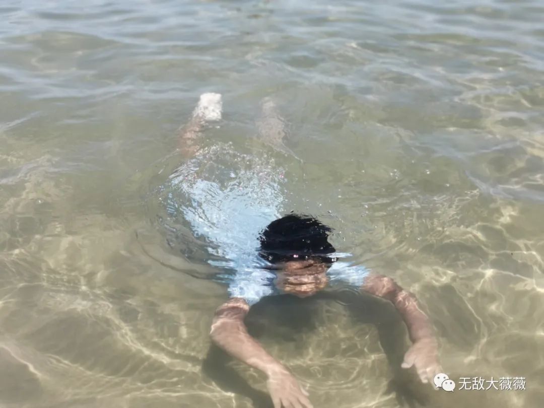 游泳冠军包有哪些_游泳冠军的游泳包有哪些_游泳冠军多少钱