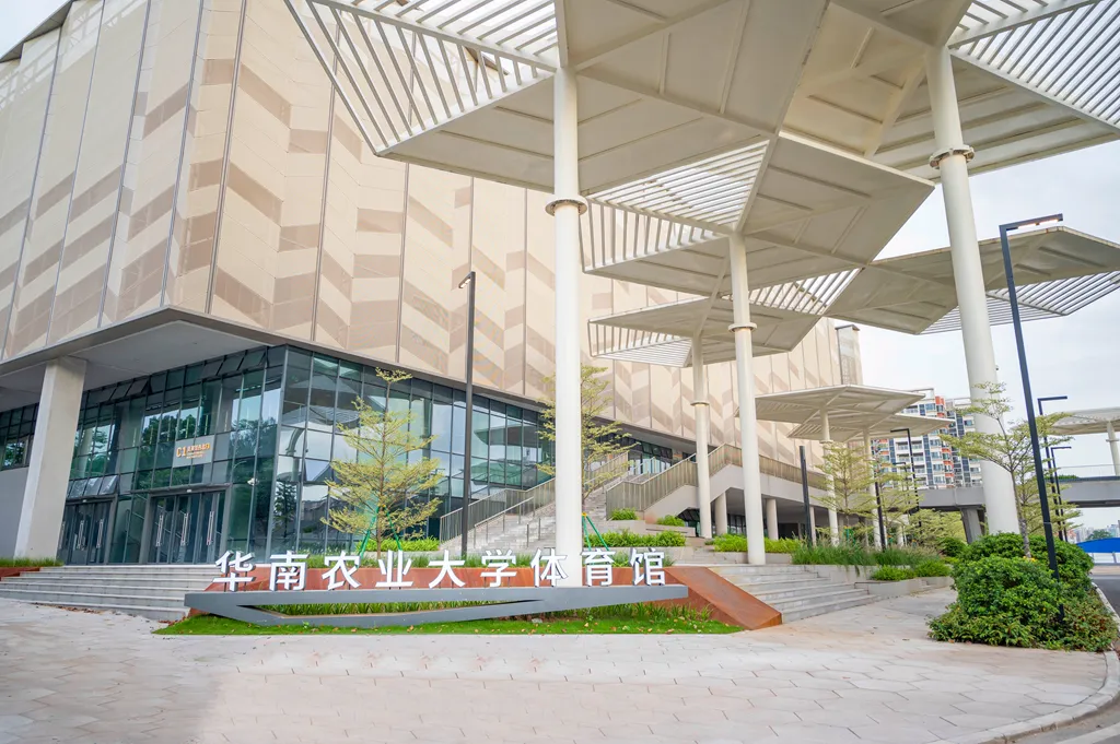 大运足球培训_大运会足球分组标准赛规则_大运会足球