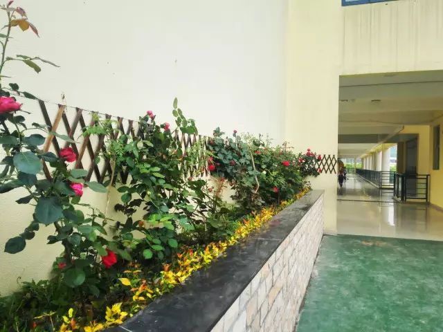 台州足球队_台州市校园足球联赛规则_台州市足球超级联赛