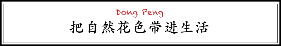 生活方式博主_生活方式博主_生活方式博主