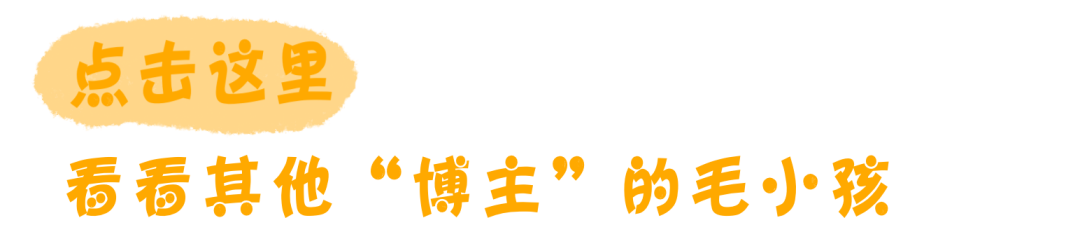 生活方式博主_生活方式博主_生活方式博主