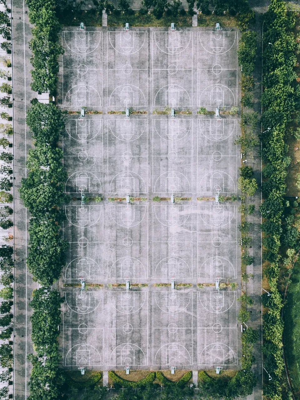 厦门篮球_篮球厦门发球规则比赛时间_厦门篮球发球比赛规则
