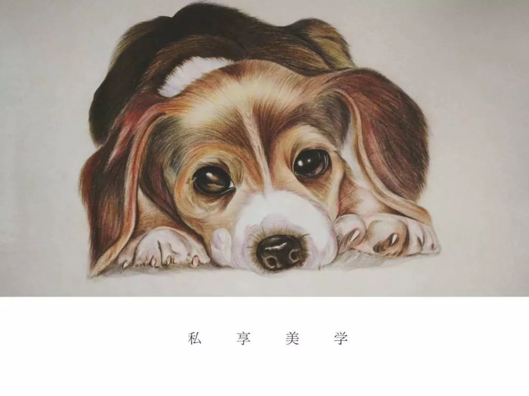 陈徐健身房私教_陈徐健身房私教_陈徐健身房私教