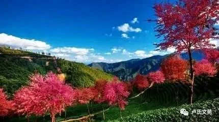 婚纱照室内用光吗北方季节_冬天室内婚纱照冷不冷_北方拍婚纱照