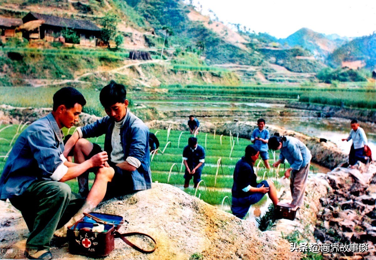 生物科技背景素材_生物科技背景_智飞生物创业背景