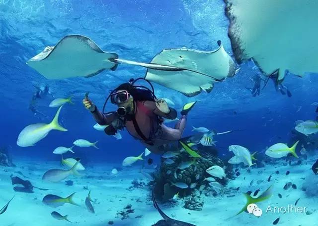穿潜水衣游泳技巧_潜水游泳衣技巧穿法视频_潜水服泳衣