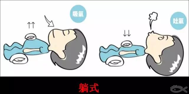 游泳的技巧与方法_游泳技巧方法图解_游泳技巧方法有哪些