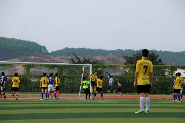 广西中医药大学赛恩斯新医药学院