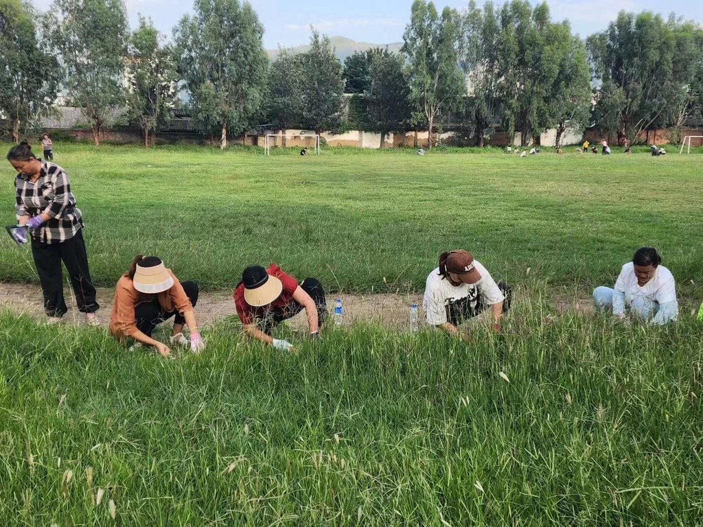 足球规则队输球运动员是谁_足球运动队输球规则_足球规则队输球运动图片