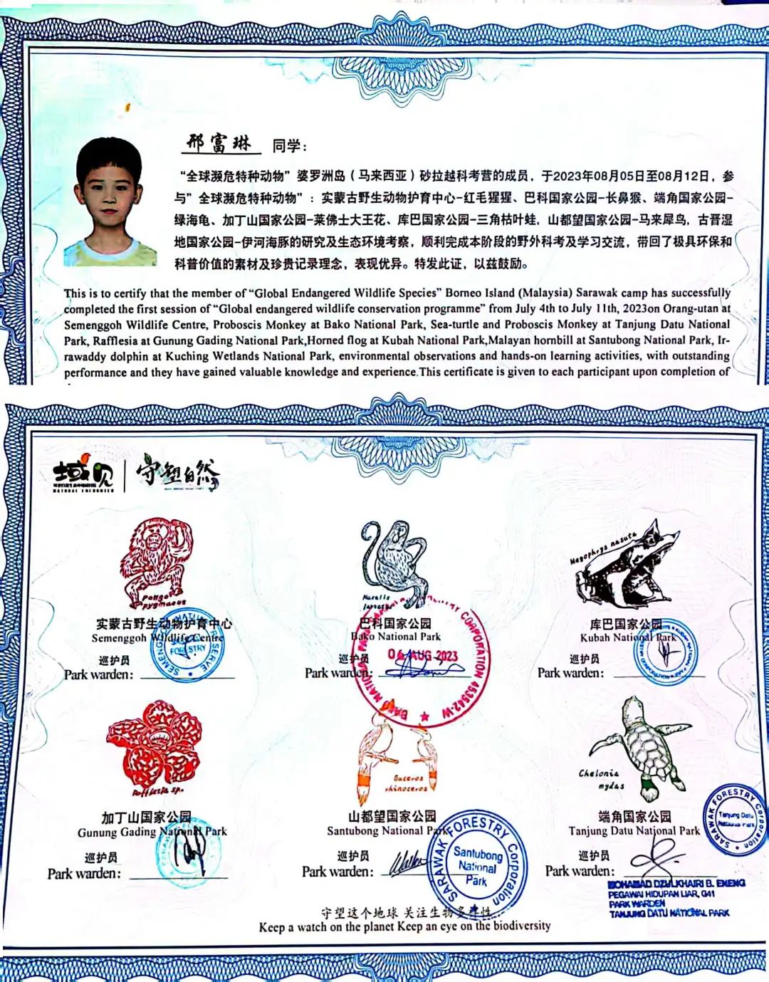 捕游戏鱼_蜥蜴游泳捕鱼技巧_会游泳蜥蜴