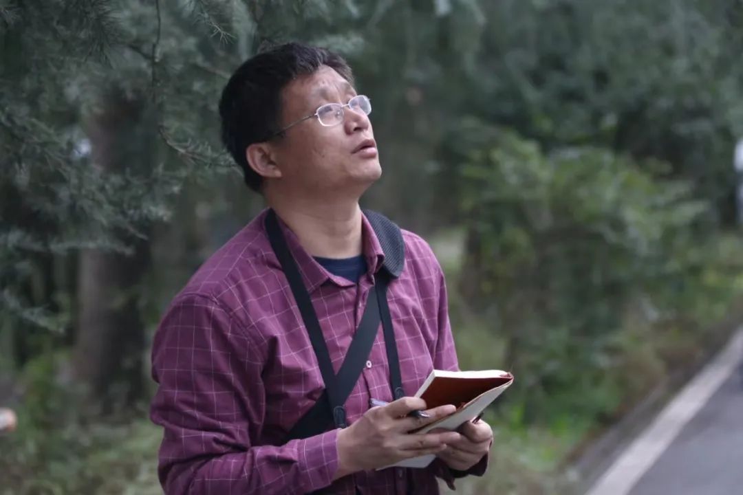 蜥蜴游泳捕鱼技巧_捕游戏鱼_会游泳蜥蜴