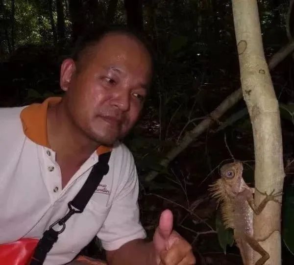 捕游戏鱼_会游泳蜥蜴_蜥蜴游泳捕鱼技巧