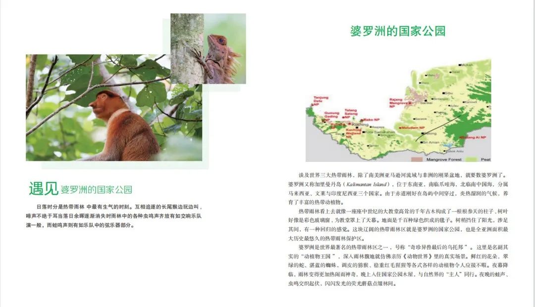 蜥蜴游泳捕鱼技巧_捕游戏鱼_会游泳蜥蜴