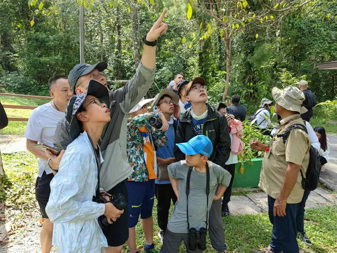 蜥蜴游泳捕鱼技巧_捕游戏鱼_会游泳蜥蜴