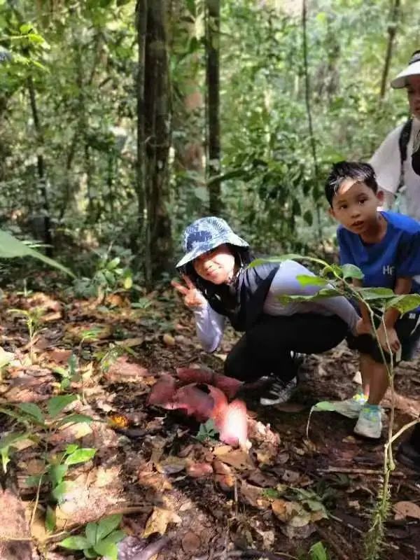 捕游戏鱼_蜥蜴游泳捕鱼技巧_会游泳蜥蜴