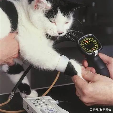 生活方式会导致三高吗吗_三高会引起哪些病_三高会引起哪些重大疾病