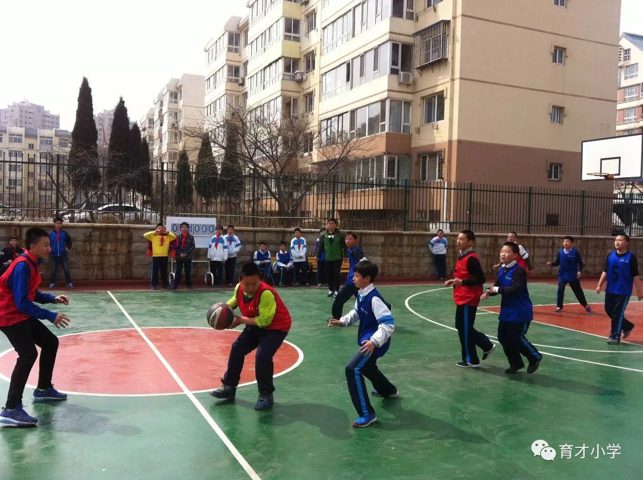 小学篮球比赛的规则_小学篮球竞赛规程_小学篮球赛比赛规则有哪些