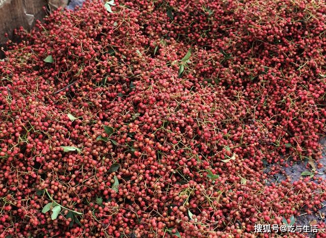 花椒生活小妙招_花椒的生活小窍门_花椒怎么做菜吃