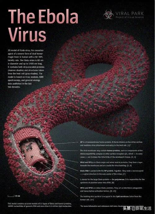 生活技能整理绘本_整理类绘本_学会整理的绘本