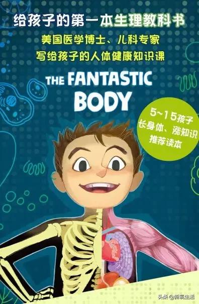 整理类绘本_生活技能整理绘本_学会整理的绘本