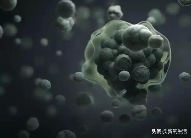 学会整理的绘本_整理类绘本_生活技能整理绘本