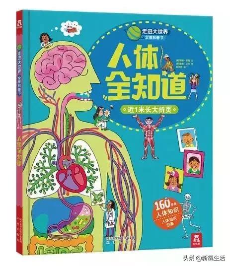 学会整理的绘本_生活技能整理绘本_整理类绘本