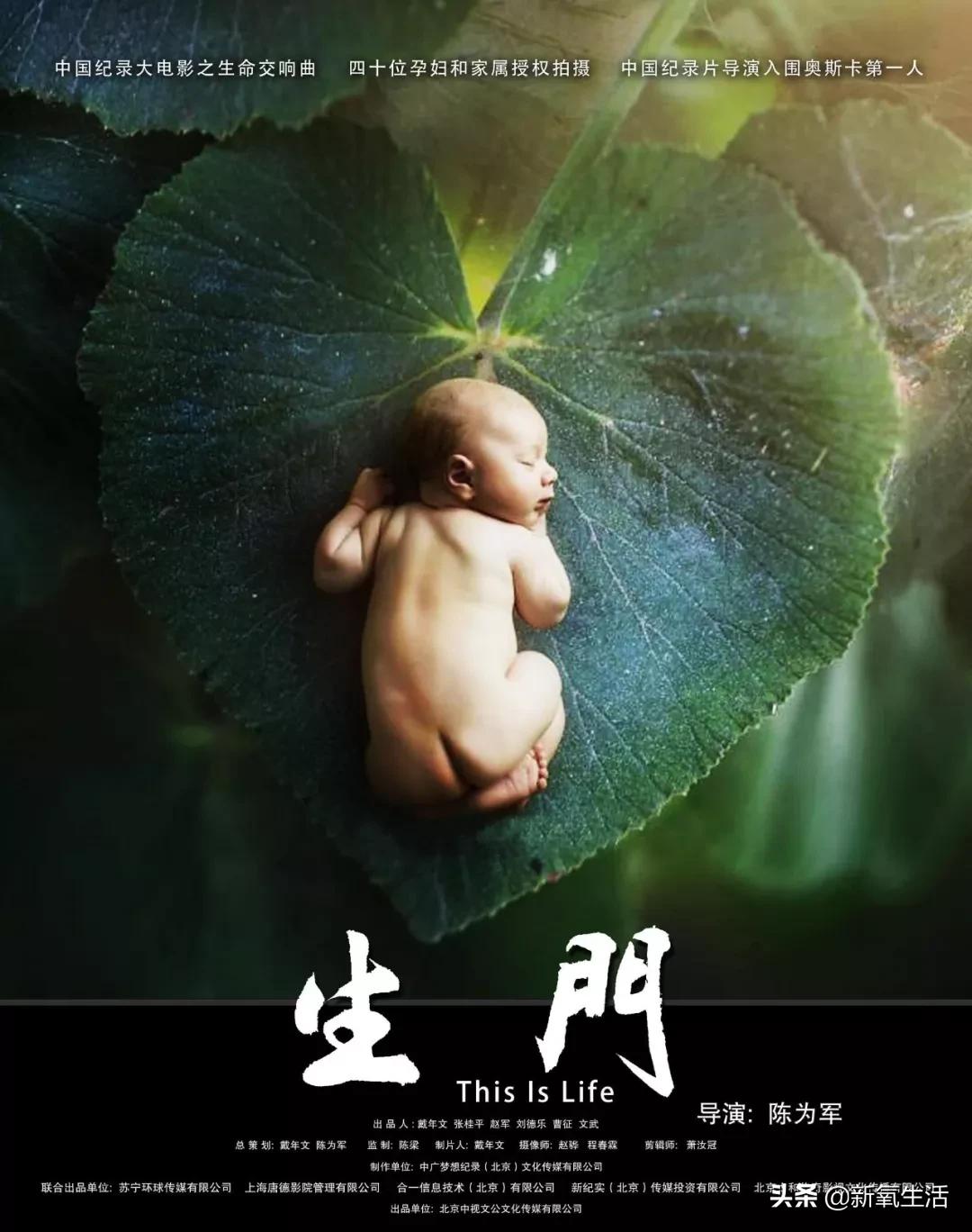 学会整理的绘本_生活技能整理绘本_整理类绘本