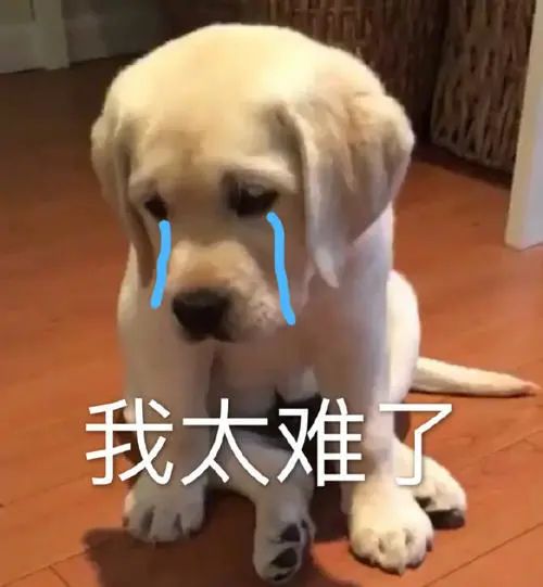 篮球规则讲解初三学生图片_初三篮球比赛_篮球里面的初三