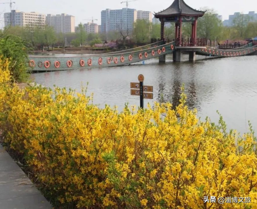 划船健身房动作_健身房划船_划船式健身