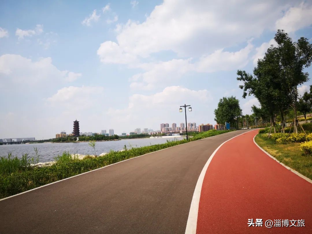 划船式健身_划船健身房动作_健身房划船