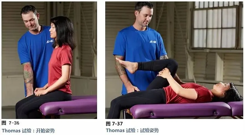 健身教练营养学有哪些_健身教练学习营养学_营养师健身教练