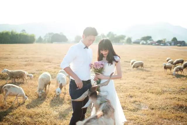 乌镇拍婚纱照多少钱_乌镇婚礼外景婚纱照_乌镇婚俗博物馆拍照