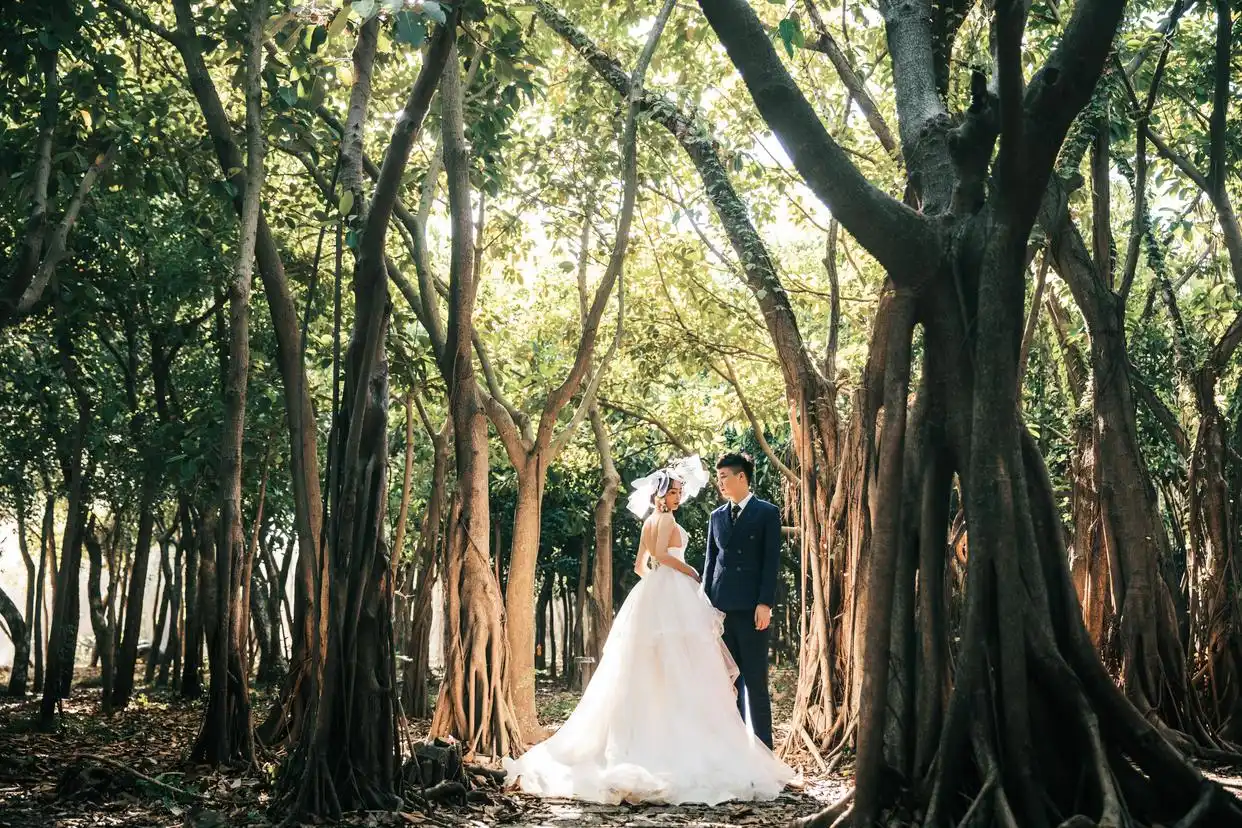 拍婚纱照内景华丽图片大全_婚纱照集锦_婚纱实景