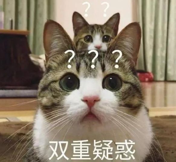 婚纱草坪外景照阳光怎么照_婚纱草坪拍照姿势_草坪阳光婚纱照外景