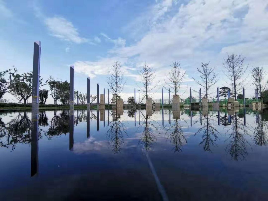 草坪阳光婚纱照外景_婚纱草坪外景照阳光怎么照_婚纱草坪拍照姿势