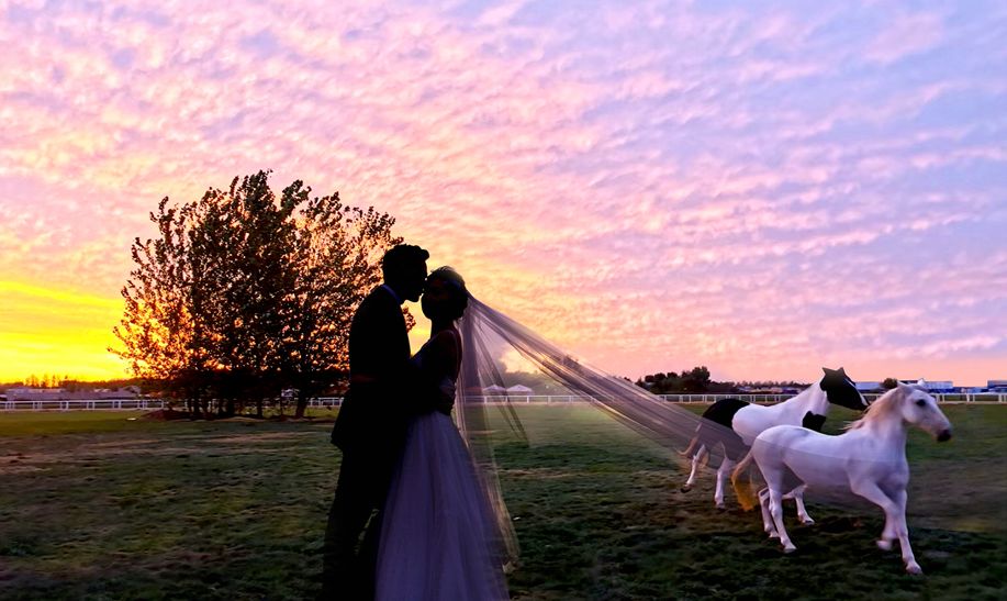 婚纱草坪外景照阳光怎么照_草坪阳光婚纱照外景_婚纱草坪拍照姿势